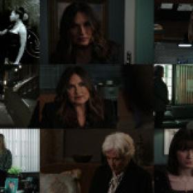 Law and Order SVU S23E13 If I Knew Then What I Know Now 1080p AMZN WEBRip DDP5.1 x264-BTN[rarbg]