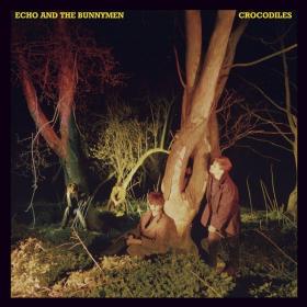 Echo And The Bunnymen - Crocodiles (2022) [24Bit-96kHz] FLAC [PMEDIA] ⭐️