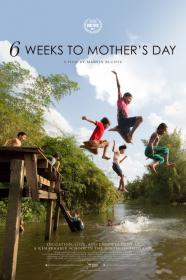 6 Weeks To Mothers Day (2017) [720p] [WEBRip] [YTS]