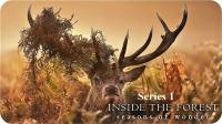 Inside the Forest Seasons of Wonder Series 1 2of4 Summer 1080p HDTV x264 AAC