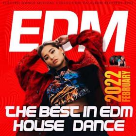 The Best In EDM Dance House Mixtape