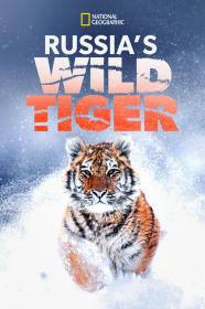 Big Cat Week Russias Wild Tiger (2022) [1080p] [WEBRip] [5.1] [YTS]