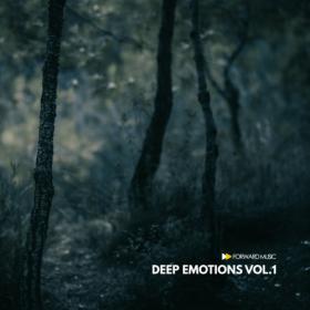 VA - Deep Emotions [Vol 1-2] (2020-2021) MP3