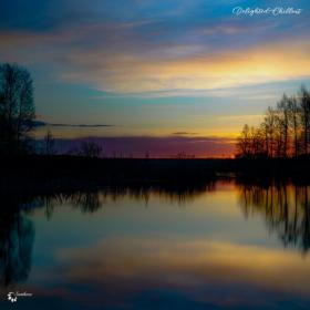 VA - Delighted Chillout (2022) MP3