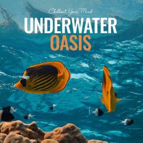 VA - Underwater Oasis  Chillout Your Mind (2022) MP3