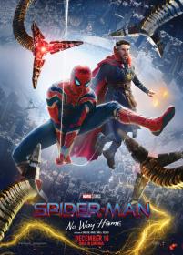 Spider-Man: No Way Home 2022 720p BRRip AAC2.0 X 264-EVO