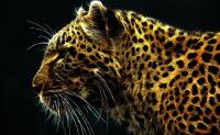 Fantastic Felines Animated Wallpaper