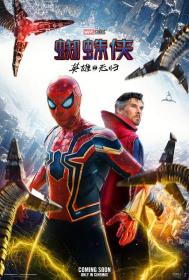 【更多高清电影访问 】蜘蛛侠：英雄无归[中文字幕] Spider-Man: No Way Home 2022 BluRay 1080p x265 10bit DTSHD5 1 MNHD-PAGEHD