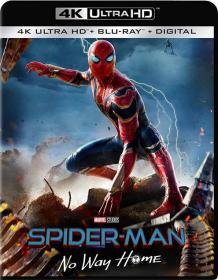 Spider-Man: No Way Home 2021 2160p UHD BDRemux TrueHD Atmos 7 1 DoVi P8 by DVT