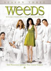 [ 高清剧集网  ]单身毒妈 第三季[全15集][中文字幕] Weeds 2007 1080p BluRay x265 AC3-BitsTV