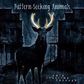 Pattern-Seeking Animals - Only Passing Through (2022) [24 Bit Hi-Res] FLAC [PMEDIA] ⭐️