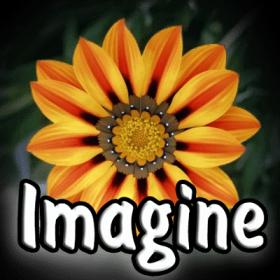 Imagine 1.1.4  + Portable + Plugins