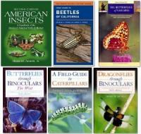 Nature Field Guides eBooks Collection - Insects(djvu)[Team Nanban]tmrg