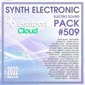 Beatport Synth Electronic  Sound Pack #509