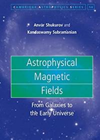 Astrophysical Magnetic Fields - From Galaxies to the Early Universe