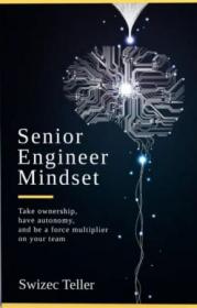 Senior Engineer Mindset