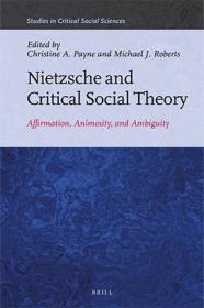 Nietzsche and Critical Social Theory - Affirmation, Animosity, and Ambiguity