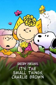 Snoopy Presents Its the Small Things Charlie Brown 2022 720p WEB h264-KOGi[rarbg]