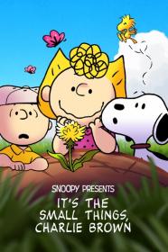 Snoopy Presents Its the Small Things Charlie Brown 2022 720p WEBRip 400MB x264-GalaxyRG[TGx]