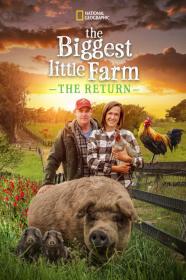 The Biggest Little Farm The Return (2022) [720p] [WEBRip] [YTS]