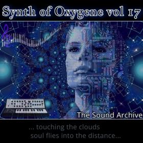 VA - Synth of Oxygene vol 17 [2022]