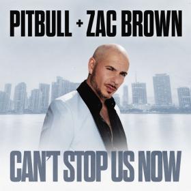 Pitbull - Can't Stop Us Now [16Bit-44.1kHz] (2022) FLAC [PMEDIA] ⭐️