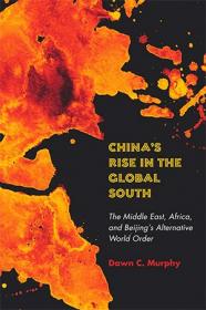 [ TutGator com ] China's Rise in the Global South - The Middle East, Africa, and Beijing's Alternative World Order