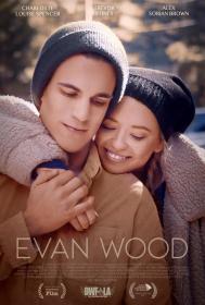 Evan Wood 2022 HDRip XviD AC3-EVO