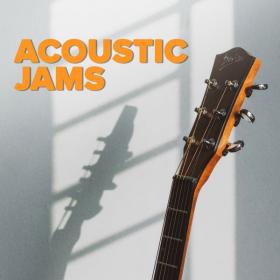 Various Artists - Acoustic Jams (2022 Pop) [Flac 16-44]
