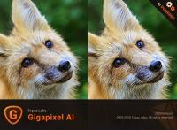 Topaz Gigapixel AI 6.1.0 (x64)
