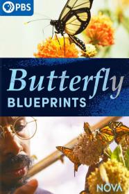 Nova Butterfly Blueprints (2022) [1080p] [WEBRip] [YTS]