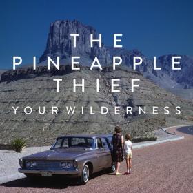 The Pineapple Thief - Your Wilderness (2016 Rock) [Flac 16-44]