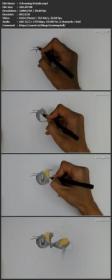 Skillshare - Colored Pencil Drawing - How to Draw a Bee Step by Step Guide