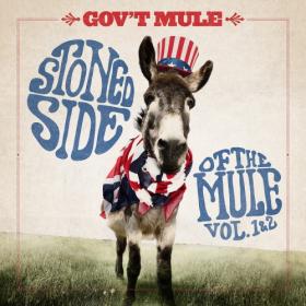 Gov't Mule - Stoned Side Of The Mule, Vol 1 & 2 (2022) [16Bit 44.1kHz] FLAC [PMEDIA] ⭐️