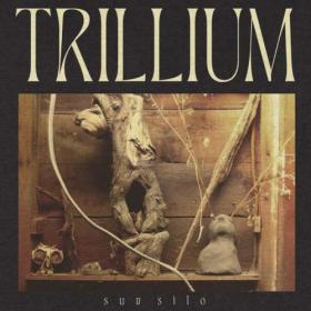 Sun Silo - 2022 - Trillium (FLAC)