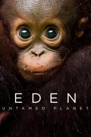 Eden Untamed Planet 2021 720p 10bit BluRay x265-budgetbits