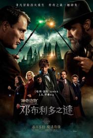 神奇动物：邓布利多之谜(中英双字) Fantastic Beasts The Secrets of Dumbledore 2022 WEB-1080p X264 AAC CHS ENG-UUMp4