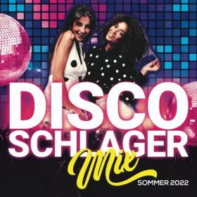 Various Artists - Disco Schlager Mix Sommer 2022 (2022) Mp3 320kbps [PMEDIA] ⭐️