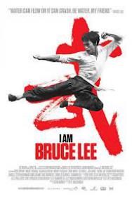 I Am Bruce Lee (2011) BRRip(xvid) NL Subs DMT