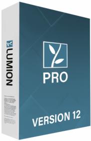 Lumion Pro 12.0 (x64) Multilingual [FileCR]