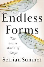 Endless Forms - The Secret World of Wasps