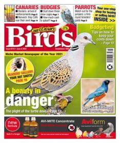 [ CourseHulu.com ] Cage & Aviary Birds - June 08, 2022