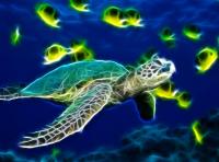 Sea Turtle Animated Wallpaper