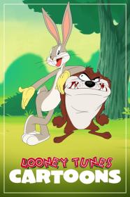 Looney Tunes Cartoons S01 1080p