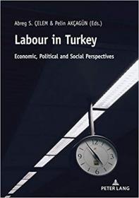 [ CourseHulu com ] Labour in Turkey - Economic, Political and Social Perspectives
