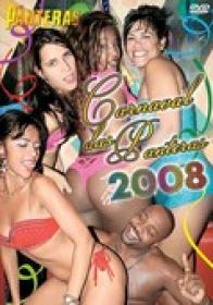 As Panteras Carnaval Das Panteras 2008 DVDRip x264-worldmkv