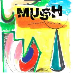 Mush - Down Tools (2022) [16Bit-44.1kHz] FLAC [PMEDIA] ⭐️