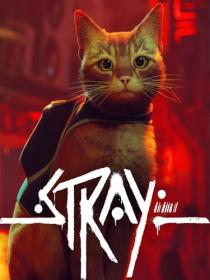 Stray [DODI]