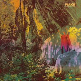 Wake - Thought Form Descent (2022) [24Bit-48kHz] FLAC [PMEDIA] ⭐️