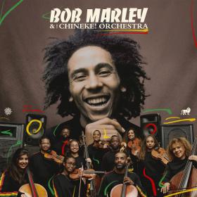 Bob Marley & The Wailers - Bob Marley with the Chineke! Orchestra (2022) [24Bit-96kHz] FLAC [PMEDIA] ⭐️